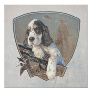 English Setter puppy with a classic shotgun Poster