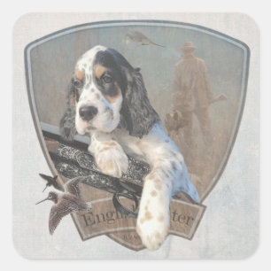 English Setter puppy with a classic shotgun     Square Sticker