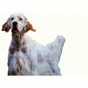 english setter sculpture standing photo sculpture