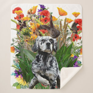 English Setter     Sherpa Blanket