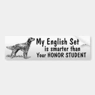 English Setter - Smarter than student - funny Bumper Sticker