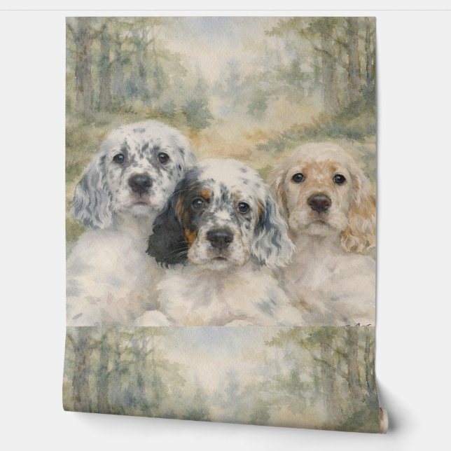 English Setter Wallpaper (Unrolling)