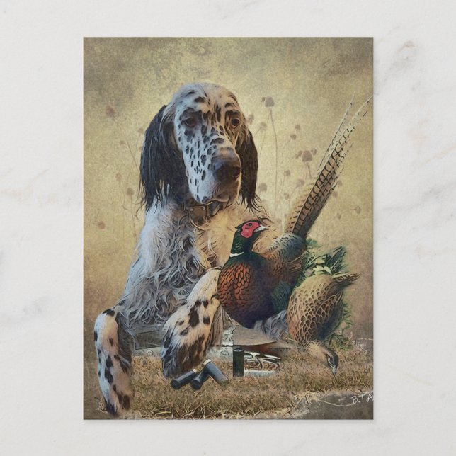 English setter with pheasants, art     postcard (Front)