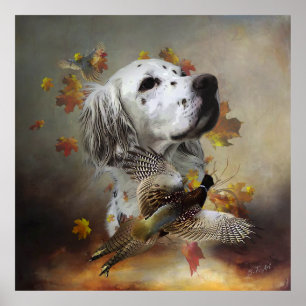 English setter with pheasants, art     poster