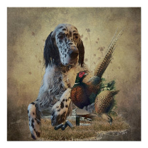 English setter with pheasants, art  poster
