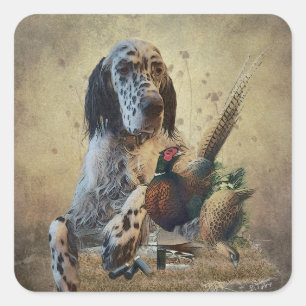 English setter with pheasants, art      square sticker