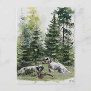 English setter , Woodcock Hunting , Art  Holiday Postcard