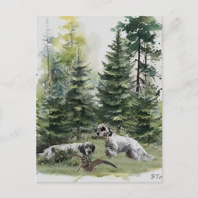 English setter , Woodcock Hunting , Art  Holiday Postcard (Front)