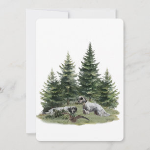 English setter , Woodcock Hunting , Art  Invitation