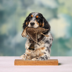 English Setter, Woodcock Hunting ,Dog Art Acrylic Sign