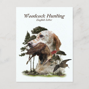 English Setter , woodcock hunting  Holiday Postcard