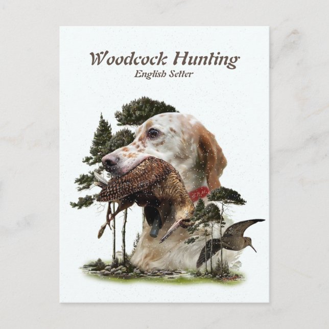 English Setter , woodcock hunting  Holiday Postcard (Front)