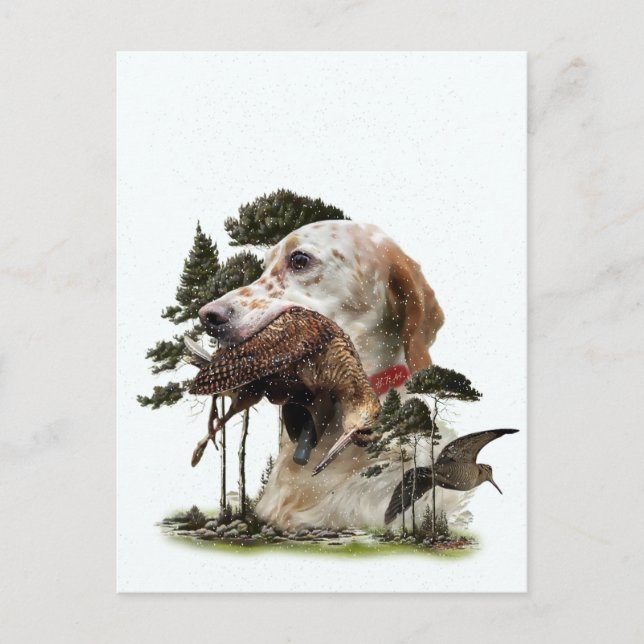 English Setter , woodcock hunting  Holiday Postcard (Front)