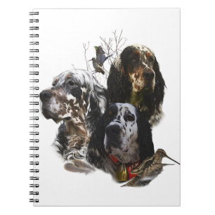 English Setter , woodcock hunting  Notebook