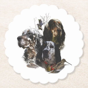 English Setter , woodcock hunting  Paper Coaster
