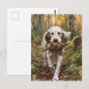 English Setter , woodcock hunting Postcard