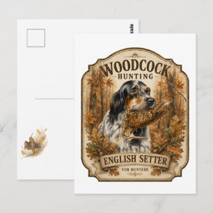 English Setter , woodcock hunting  Postcard