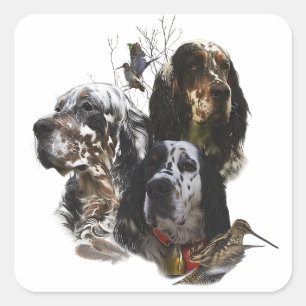 English Setter , woodcock hunting  Square Sticker