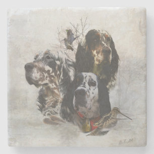English Setter , woodcock hunting  Stone Coaster