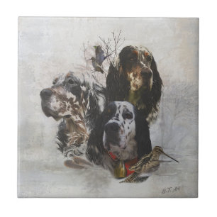 English Setter , woodcock hunting Tile