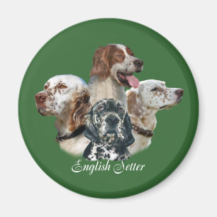 English SetterCan't Have Just One Magnet