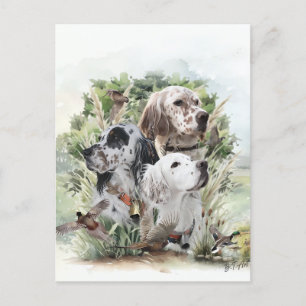 English Setters  Invitation Postcard