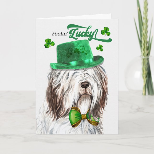 English Sheepdog Feelin' Lucky St Patrick's Day Holiday Card (Front)