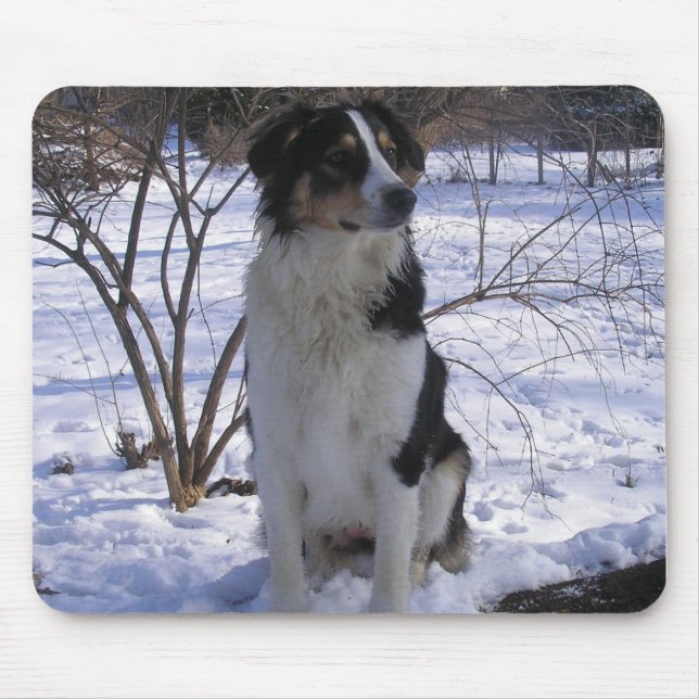 English Shepherd - Paige Mouse Mat (Front)