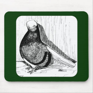 English Shortfaced Pigeon Bald 1978 Mouse Mat