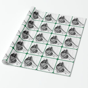 English Shortfaced Pigeon Bald 1978 Wrapping Paper