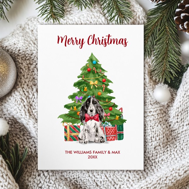 English Spaniel Dog Family Christmas Holiday Card (Creator Uploaded)