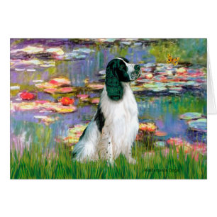 English Springer 7 - Lilies 2