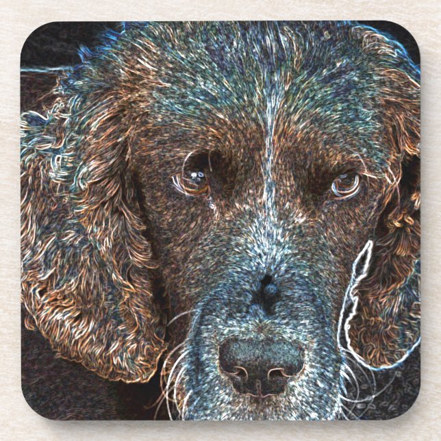 English Springer Coaster (Front)