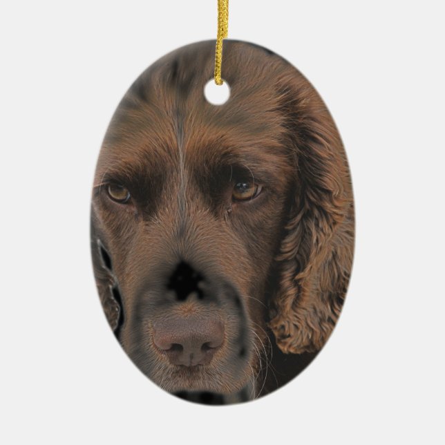 English Springer Dogs Ceramic Tree Decoration (Front)