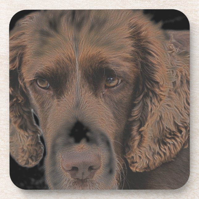 English Springer Dogs Coaster (Front)