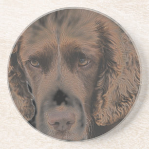 English Springer Dogs Coaster