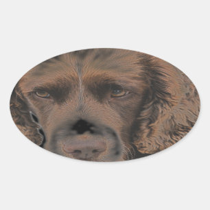 English Springer Dogs Oval Sticker