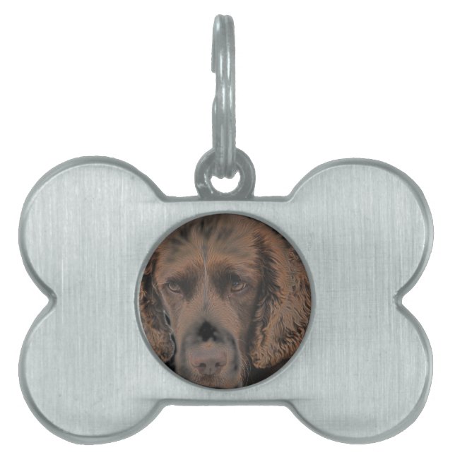English Springer Dogs Pet ID Tag (Front)