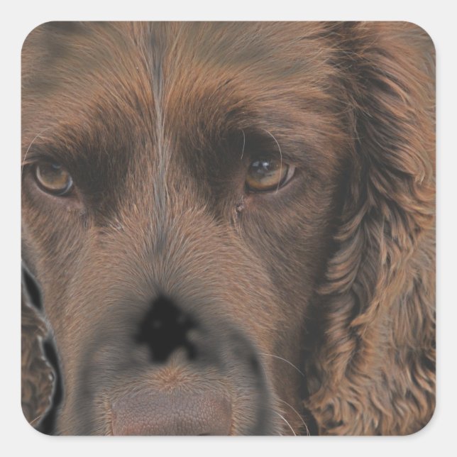 English Springer Dogs Square Sticker (Front)