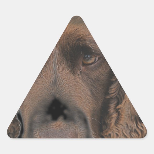 English Springer Dogs Triangle Sticker (Front)