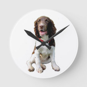 English Springer - Liver-White (pup) Round Clock