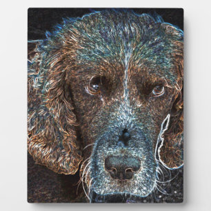 English Springer Plaque