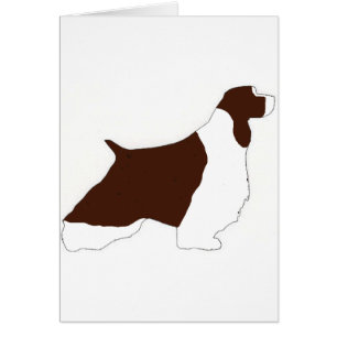 english springer spaniel