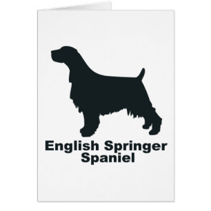 English Springer Spaniel
