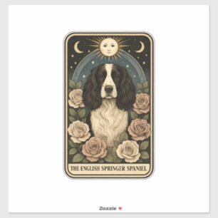 English Springer Spaniel