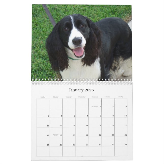 English Springer Spaniel 2009 Calendar (Jan 2026)