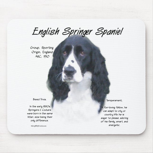 English Springer Spaniel (blk) History Design Mouse Mat (Front)