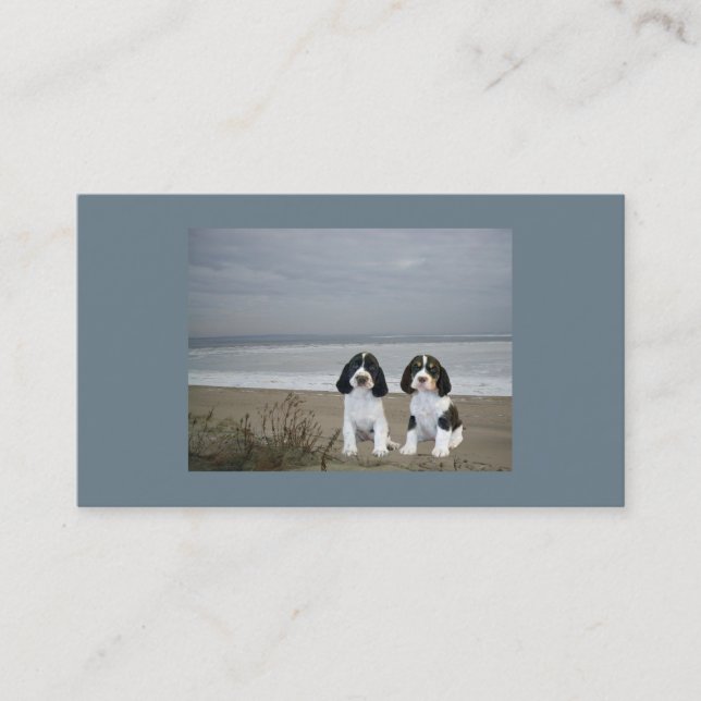 English Springer Spaniel Breeder Business Card (Front)