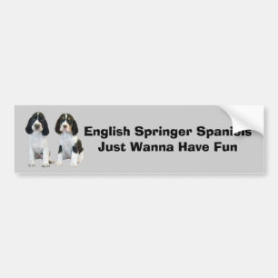 English Springer Spaniel Bumper Sticker