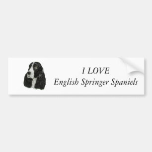 English Springer Spaniel Bumper Sticker